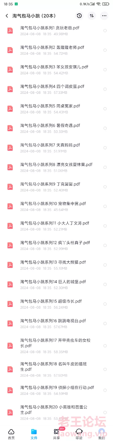 Screenshot_2024-08-08-18-35-28-549_com.baidu.netdisk.png